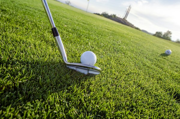 Putting green detail at Getty Golf